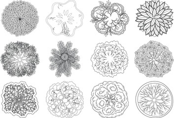 Collection of 12 black and white microscopic cell illustrations