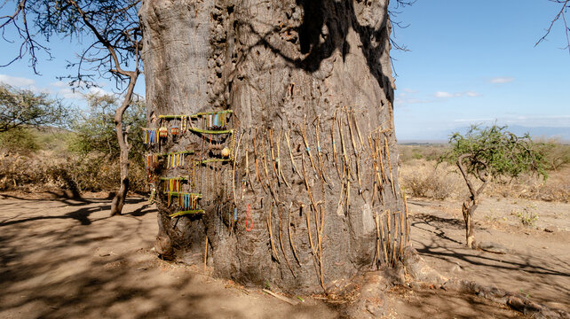 Handicrafts displayed on a Baobab tree with Hadzabe touch