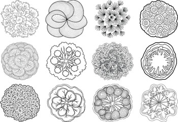 Collection of cell division stages and microscopic biological samples
