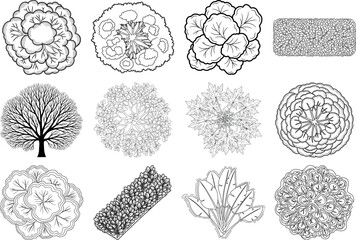 A collection of 12 intricate black and white illustrations of various shapes and organic forms