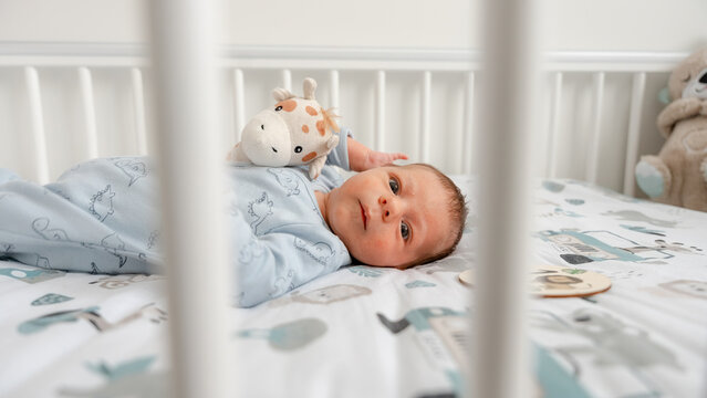 Newborn resting with toy giraffe in a cozy crib