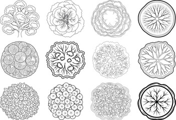 Intricate circular patterns and designs in black and white