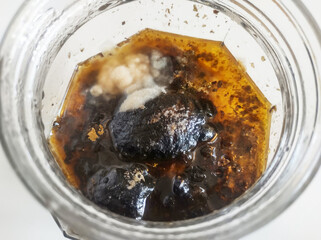 Mold on onions, conserve, Sao Paulo, Brazil