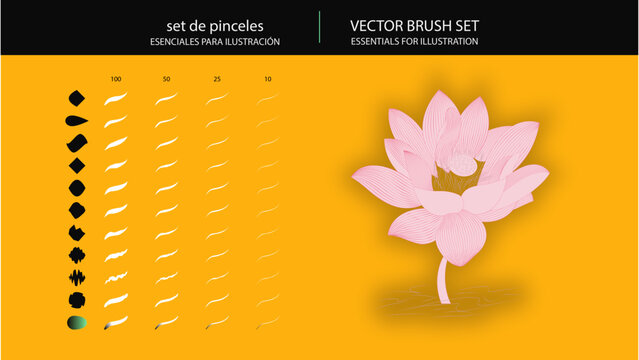 Inking Vector Brushes Set & Lotus Flower Illustration