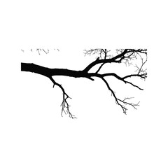Fototapeta premium Silhouette of bare tree branches reaching out against a stark white background