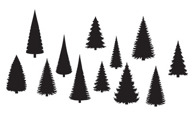 Silhouettes of evergreen trees in a forest setting