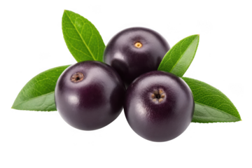 Three acai berries with green leaves isolated on transparent background
