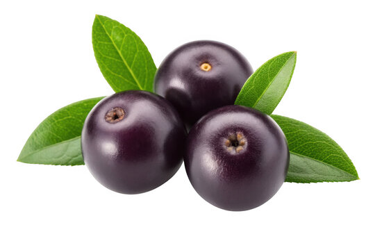 Three acai berries with green leaves isolated on transparent background