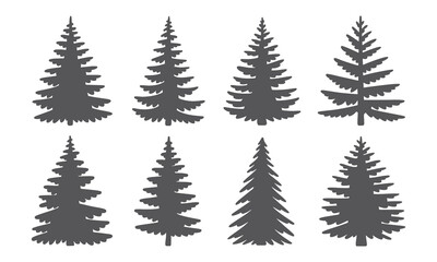 Silhouettes of evergreen trees in a forest setting