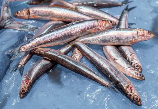 Fresh fish on display at a local market stall