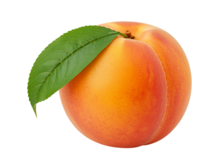 Ripe peaches and apricots with green leaves isolated on a white background