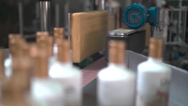 Botellas de aceite de oliva virgen extra saliendo de la cinta transportadora para ser embaladas 