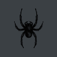 Pixelated insect with digital glitch effect on green, gray or transparent background