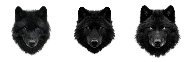 Set of Real-photo style shot of a black wolf in profile, glowing red eyes and sharply defined fur on transparent png background. Ai generated