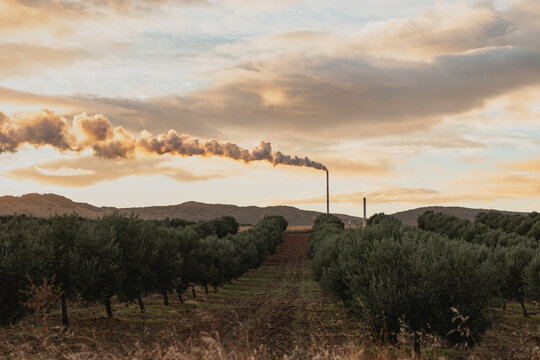 Industrial chimney releasing white smoke into sky