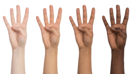 Multiethnic hands showing number five. Diverse hands against a white backdrop.