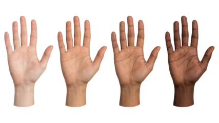 Open hands of different ethnicity. Diverse hands gesturing against white.