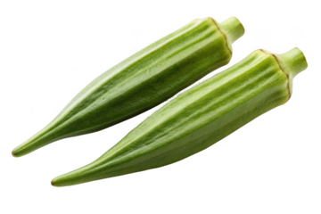 Two fresh green okra pods isolated on transparent background