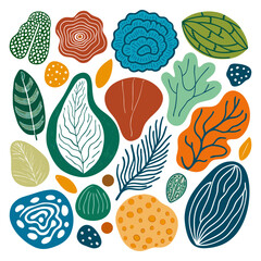 Hand Drawn Organic Abstract Shapes With Natural Texture Collection