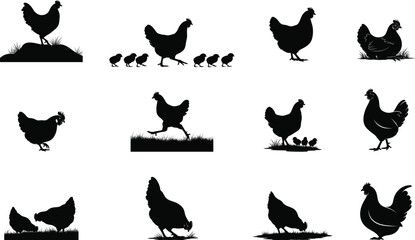 Silhouette of various chickens in different poses and settings silhouette © MD