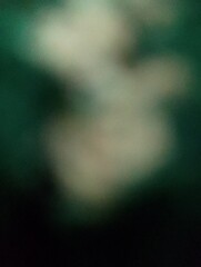 Abstract blurred green and white background for creative design or natural concepts.