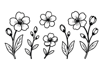 Set of outline drawings of spring flowers, thin black contours, elegant vector illustration, isolated on white background