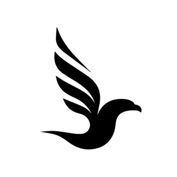 Hawk vector illustration