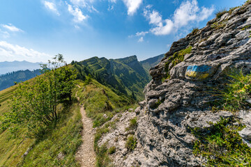 Majestic Alpine Trails Through Bregenzerwalds Four Peaks Scenic Mountain Adventure