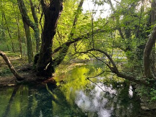 Grab Stream or the Significant Landscape Grab in the Sinjska Krajina region (Trilj, Croatia) - Potok Grab ili Značajni krajobraz Grab na području Sinjske krajine (Trilj, Hrvatska)
