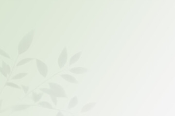 Soft sage green background with subtle leaf shadow and copy space