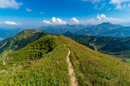 Breathtaking Alpine Trails Through Vorarlbergs Lush Bregenzerwald Forest Scenic Adventure