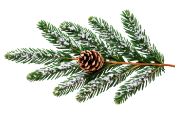 Vibrant festive frame of evergreen needles, pinecones and colorful holiday lights. png