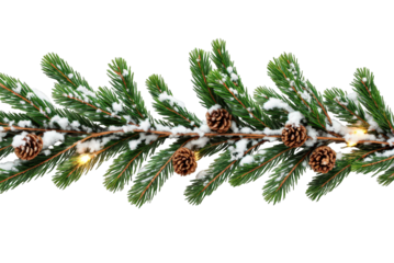 Traditional Christmas greenery border with illuminated bulbs and snowy branches. png