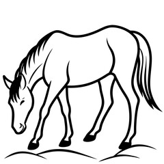 horse vector illustration