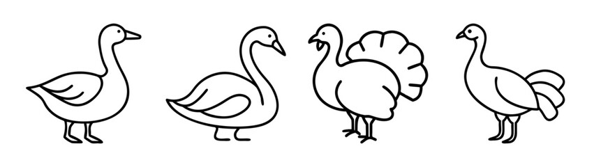 A set of four simple line art drawings depicting different farm birds