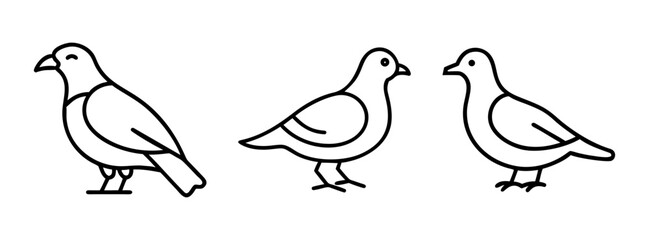 Simple black line illustration featuring three pigeons standing on a white background