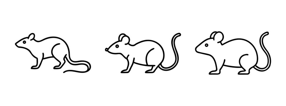 Three mice or small rodent illustrations in black line art, a collection of simple icons