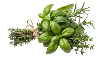 Fresh herbs bundle with basil rosemary thyme isolated on a transparent background