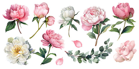 Watercolor illustration of delicate roses and greenery in various colors © darkheaven
