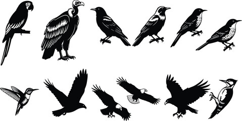 Detailed Black Silhouette Set of Various Wild Birds, Including Eagle, Parrot, Vulture, Hummingbird, and Other Feathered Animals, Vector Illustration for Nature and Wildlife.