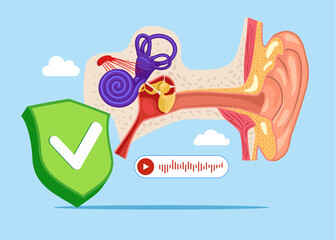 Good human ear with green shield check mark. System in normal.  Ear Pain, Tinnitus, Otitis or Deaf. Human Ear Anatomy Cross Section View with Cochlea and Parts. Flat vector illustration