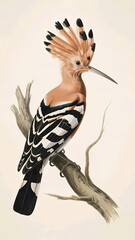 Fototapeta premium a bird image with background 