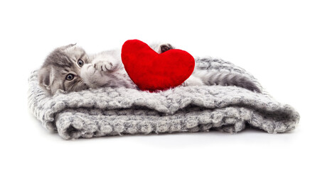 Little kitten lying on a knitted blanket with a red heart.