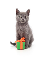 Small gray kitten sitting next to a green gift box.