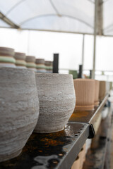 Ceramic Plant Pots Displayed in Flower Shop Interior, Modern Retail Shelving