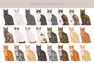 Domestic shorthair Cat clipart. All coat colors set. Vector illustration