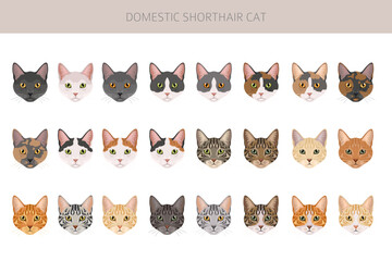 Domestic shorthair Cat clipart. All coat colors set. Vector illustration