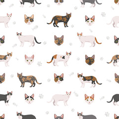 Domestic shorthair Cat clipart. All coat colors set. Vector illustration