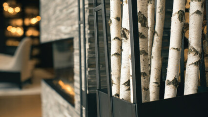 Obraz premium Birch logs in modern home