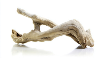 Fototapeta premium Driftwood Branch on White